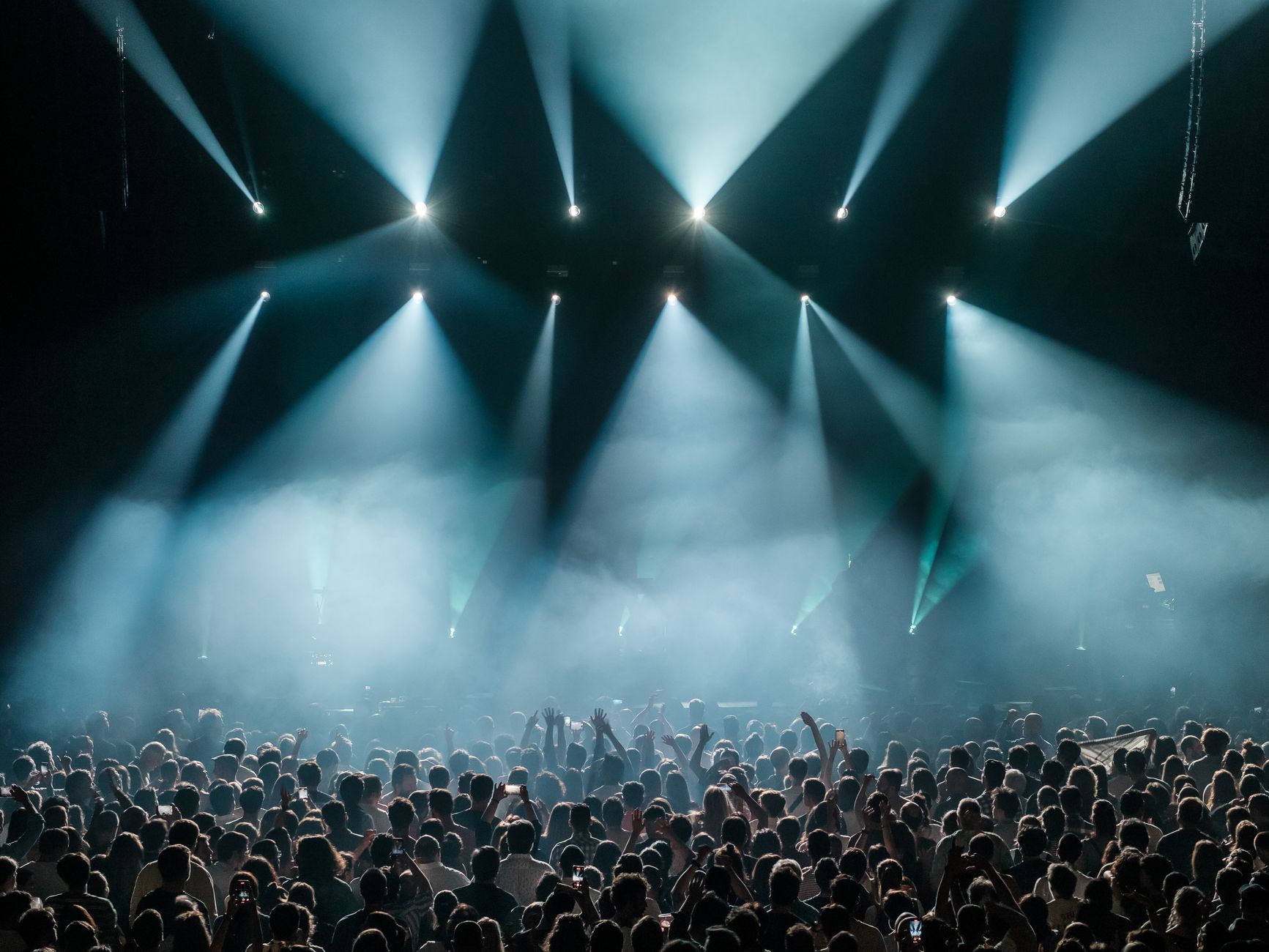 Concert crowd